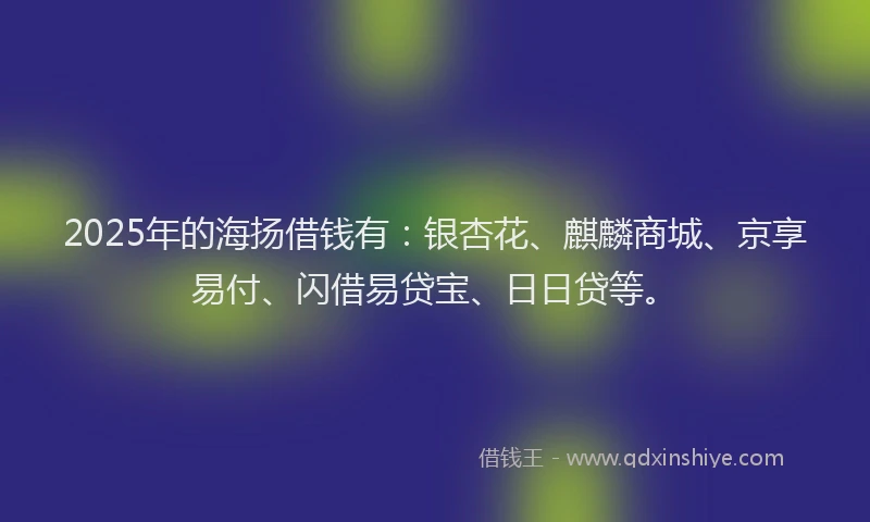 2025年的海扬借钱有：银杏花、麒麟商城、京享易付、闪借易贷宝、日日贷等。
