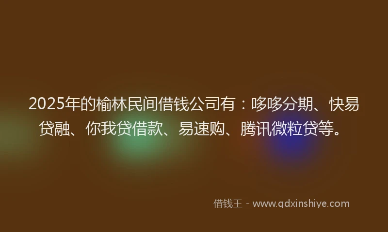 2025年的榆林民间借钱公司有：哆哆分期、快易贷融、你我贷借款、易速购、腾讯微粒贷等。