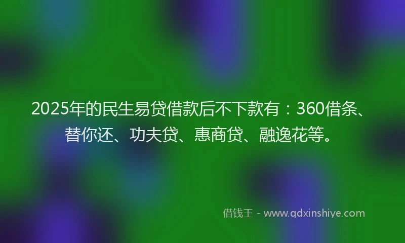 2025年的民生易贷借款后不下款有：360借条、替你还、功夫贷、惠商贷、融逸花等。