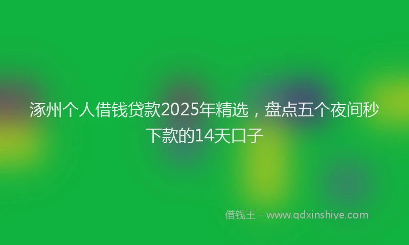 涿州个人借钱贷款2025年精选，盘点五个夜间秒下款的14天口子