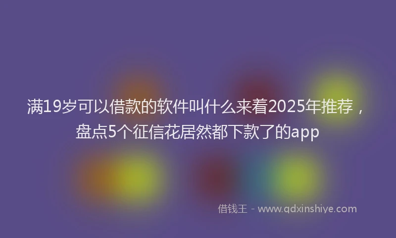 满19岁可以借款的软件叫什么来着2025年推荐，盘点5个征信花居然都下款了的app