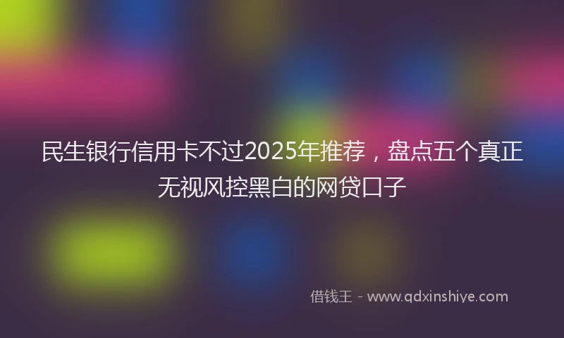 民生银行信用卡不过2025年推荐，盘点五个真正无视风控黑白的网贷口子