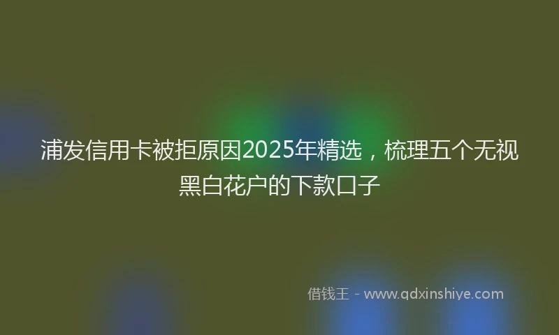 浦发信用卡被拒原因2025年精选，梳理五个无视黑白花户的下款口子