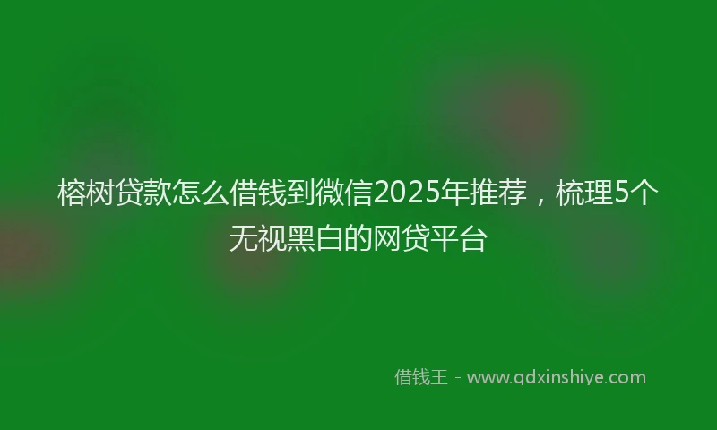 榕树贷款怎么借钱到微信2025年推荐，梳理5个无视黑白的网贷平台