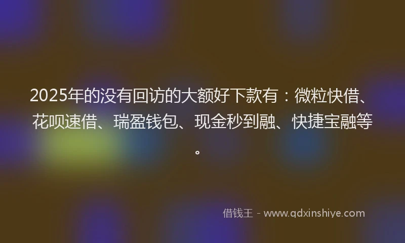 2025年的没有回访的大额好下款有：微粒快借、花呗速借、瑞盈钱包、现金秒到融、快捷宝融等。