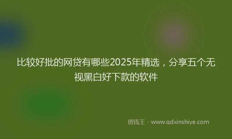 比较好批的网贷有哪些2025年精选，分享五个无视黑白好下款的软件
