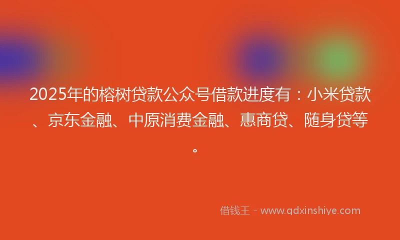 2025年的榕树贷款公众号借款进度有：小米贷款、京东金融、中原消费金融、惠商贷、随身贷等。