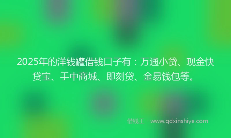 2025年的洋钱罐借钱口子有：万通小贷、现金快贷宝、手中商城、即刻贷、金易钱包等。