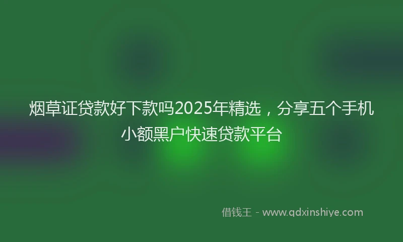 烟草证贷款好下款吗2025年精选，分享五个手机小额黑户快速贷款平台