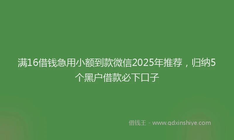 满16借钱急用小额到款微信2025年推荐，归纳5个黑户借款必下口子