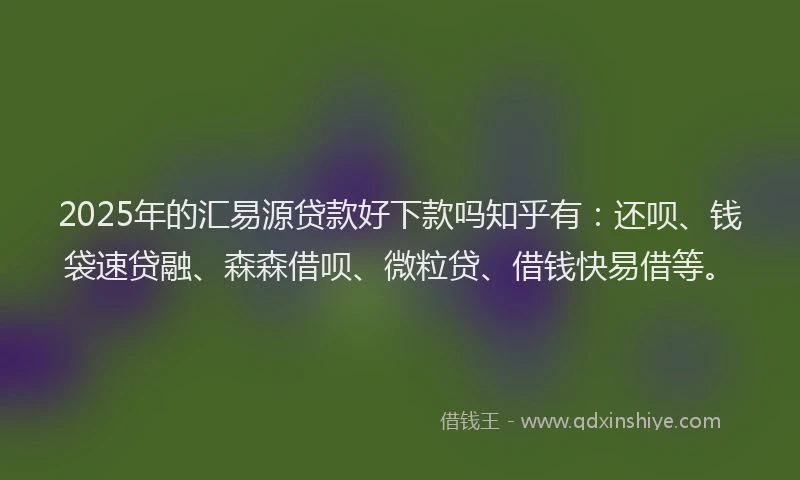 2025年的汇易源贷款好下款吗知乎有：还呗、钱袋速贷融、森森借呗、微粒贷、借钱快易借等。