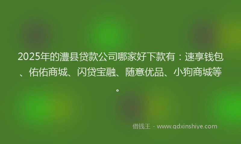 2025年的澧县贷款公司哪家好下款有：速享钱包、佑佑商城、闪贷宝融、随意优品、小狗商城等。