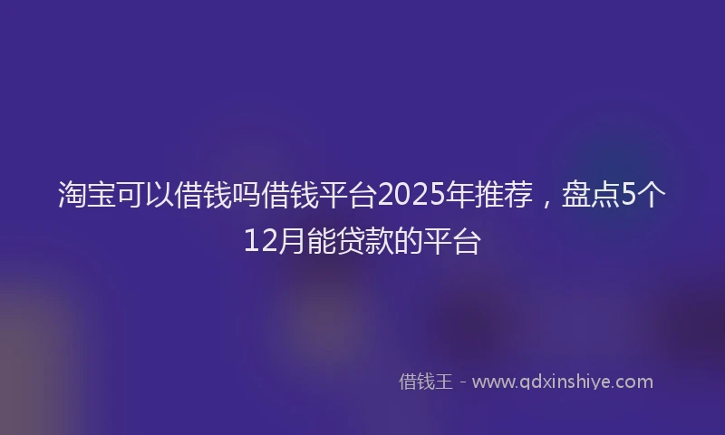 淘宝可以借钱吗借钱平台2025年推荐，盘点5个12月能贷款的平台
