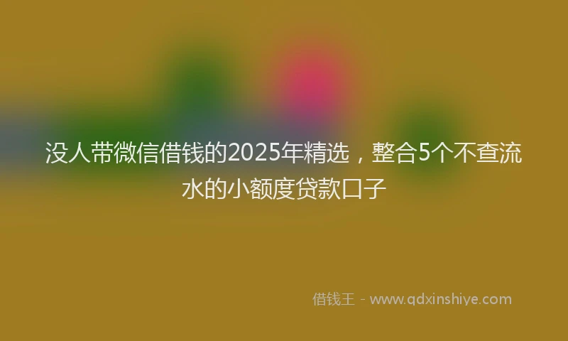 没人带微信借钱的2025年精选，整合5个不查流水的小额度贷款口子