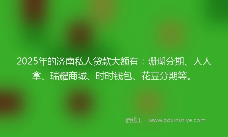 2025年的济南私人贷款大额有：珊瑚分期、人人拿、瑞耀商城、时时钱包、花豆分期等。