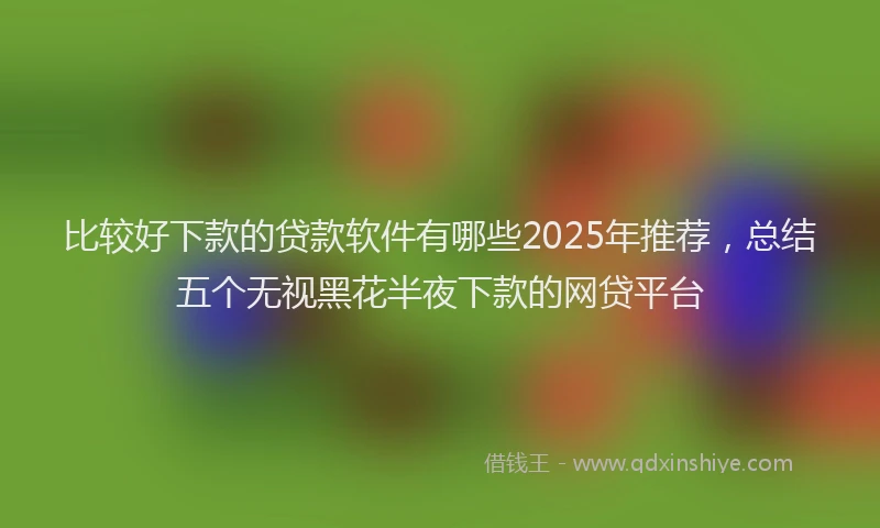 比较好下款的贷款软件有哪些2025年推荐，总结五个无视黑花半夜下款的网贷平台