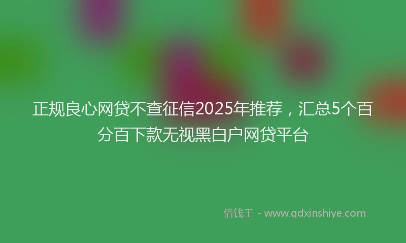 正规良心网贷不查征信2025年推荐，汇总5个百分百下款无视黑白户网贷平台