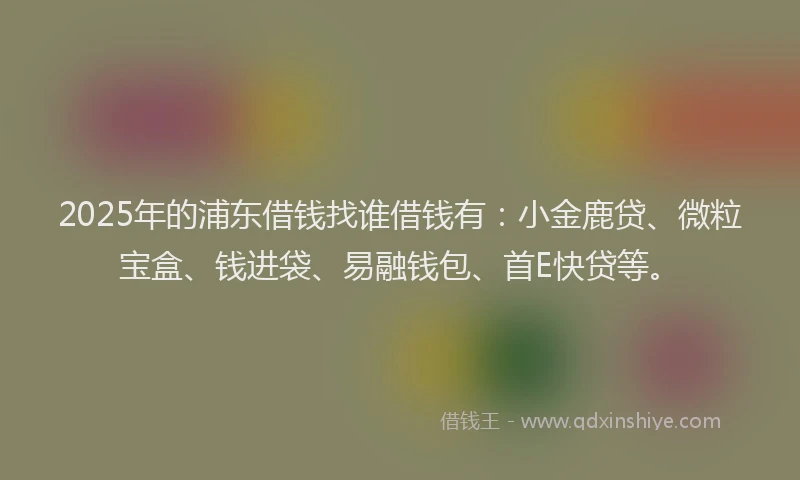 2025年的浦东借钱找谁借钱有：小金鹿贷、微粒宝盒、钱进袋、易融钱包、首E快贷等。