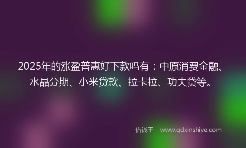 2025年的涨盈普惠好下款吗有：中原消费金融、水晶分期、小米贷款、拉卡拉、功夫贷等。