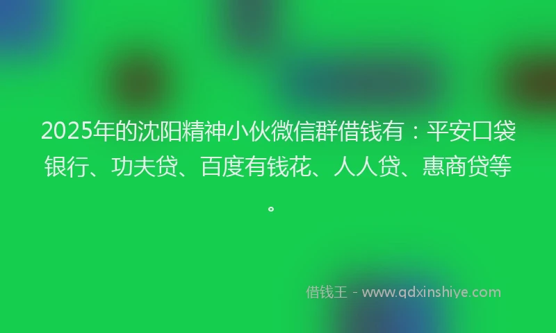 2025年的沈阳精神小伙微信群借钱有：平安口袋银行、功夫贷、百度有钱花、人人贷、惠商贷等。