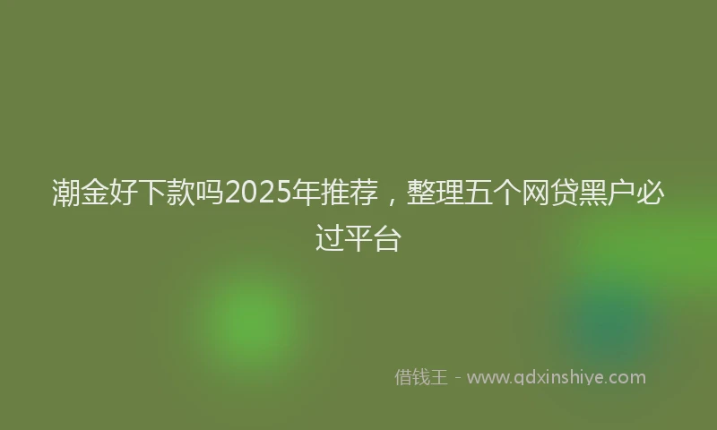 潮金好下款吗2025年推荐，整理五个网贷黑户必过平台