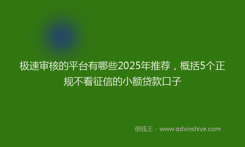 极速审核的平台有哪些2025年推荐，概括5个正规不看征信的小额贷款口子