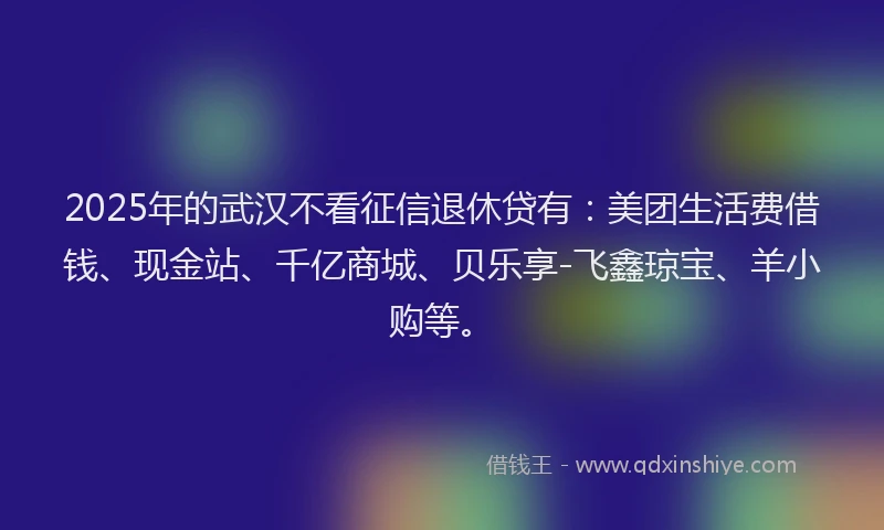 2025年的武汉不看征信退休贷有：美团生活费借钱、现金站、千亿商城、贝乐享-飞鑫琼宝、羊小购等。