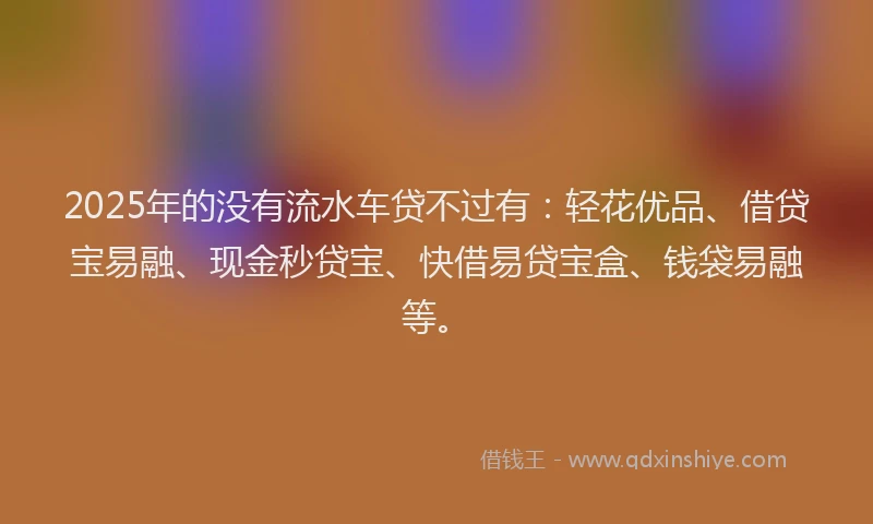 2025年的没有流水车贷不过有：轻花优品、借贷宝易融、现金秒贷宝、快借易贷宝盒、钱袋易融等。