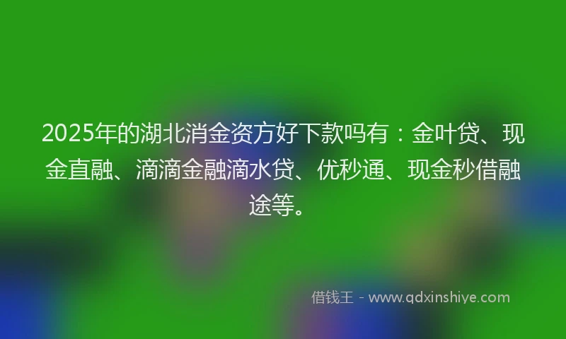 2025年的湖北消金资方好下款吗有：金叶贷、现金直融、滴滴金融滴水贷、优秒通、现金秒借融途等。