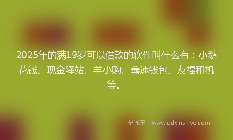 2025年的满19岁可以借款的软件叫什么有：小鹅花钱、现金驿站、羊小购、鑫速钱包、友福租机等。