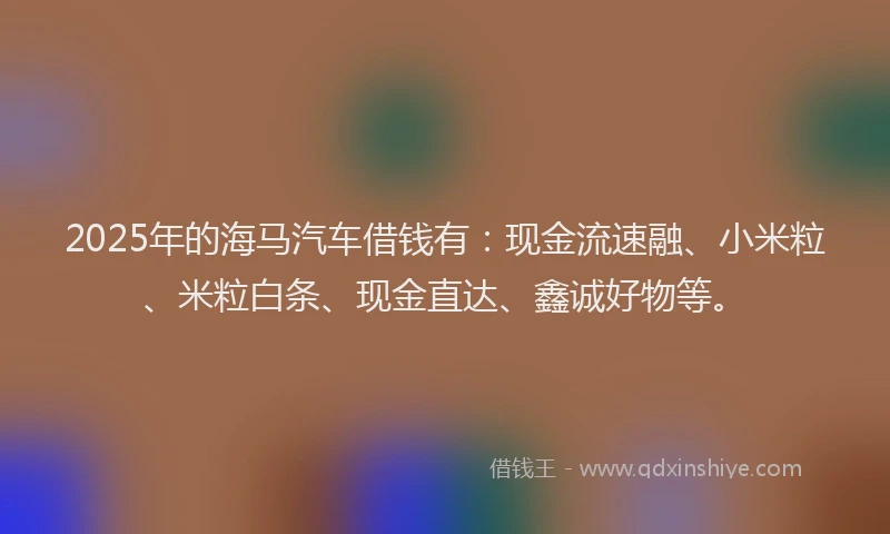 2025年的海马汽车借钱有：现金流速融、小米粒、米粒白条、现金直达、鑫诚好物等。