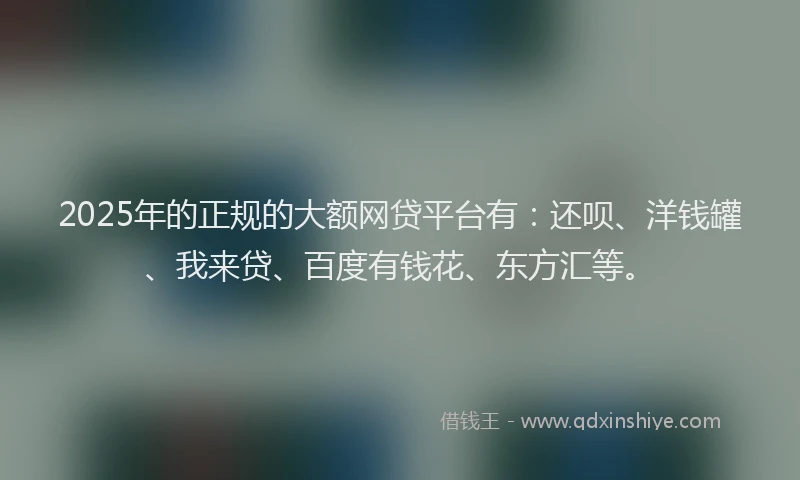 2025年的正规的大额网贷平台有：还呗、洋钱罐、我来贷、百度有钱花、东方汇等。