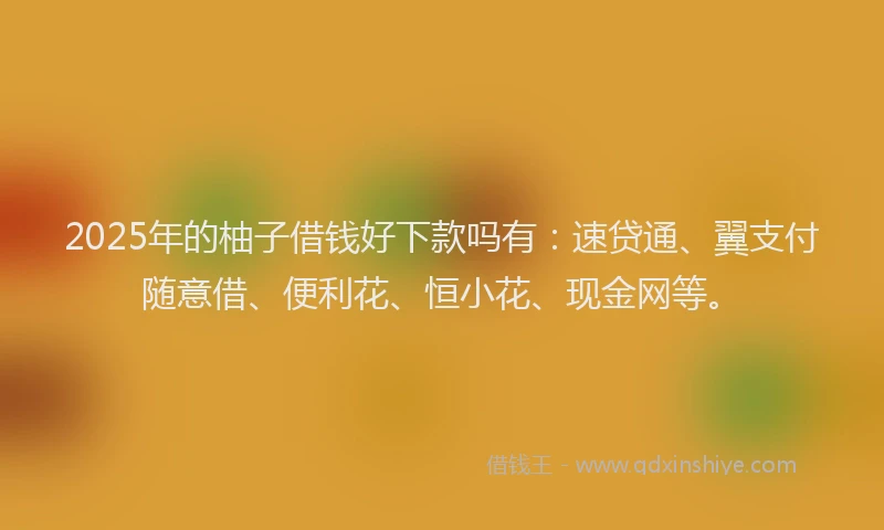 2025年的柚子借钱好下款吗有：速贷通、翼支付随意借、便利花、恒小花、现金网等。