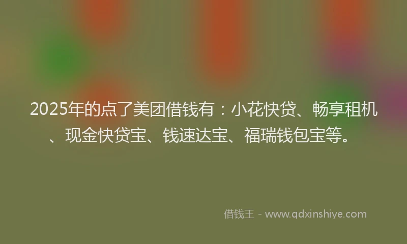 2025年的点了美团借钱有：小花快贷、畅享租机、现金快贷宝、钱速达宝、福瑞钱包宝等。