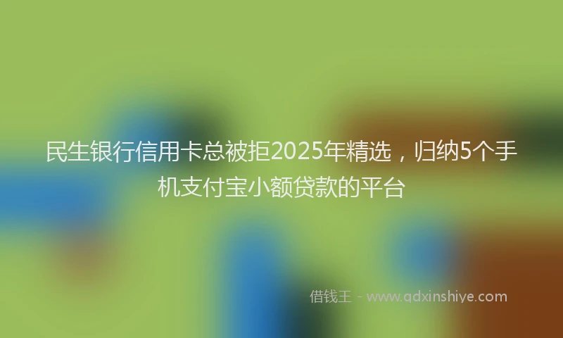 民生银行信用卡总被拒2025年精选，归纳5个手机支付宝小额贷款的平台