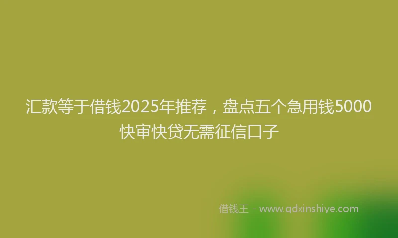汇款等于借钱2025年推荐，盘点五个急用钱5000快审快贷无需征信口子