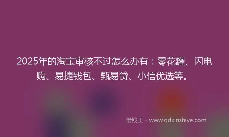 2025年的淘宝审核不过怎么办有：零花罐、闪电购、易捷钱包、甄易贷、小信优选等。