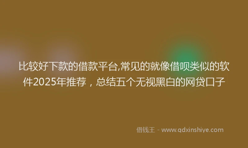 比较好下款的借款平台,常见的就像借呗类似的软件2025年推荐，总结五个无视黑白的网贷口子
