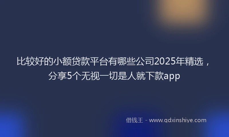 比较好的小额贷款平台有哪些公司2025年精选，分享5个无视一切是人就下款app