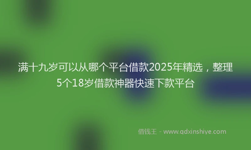 满十九岁可以从哪个平台借款2025年精选，整理5个18岁借款神器快速下款平台