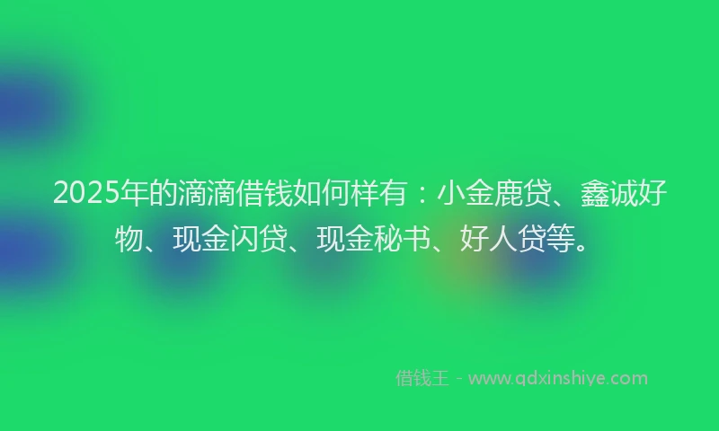 2025年的滴滴借钱如何样有：小金鹿贷、鑫诚好物、现金闪贷、现金秘书、好人贷等。