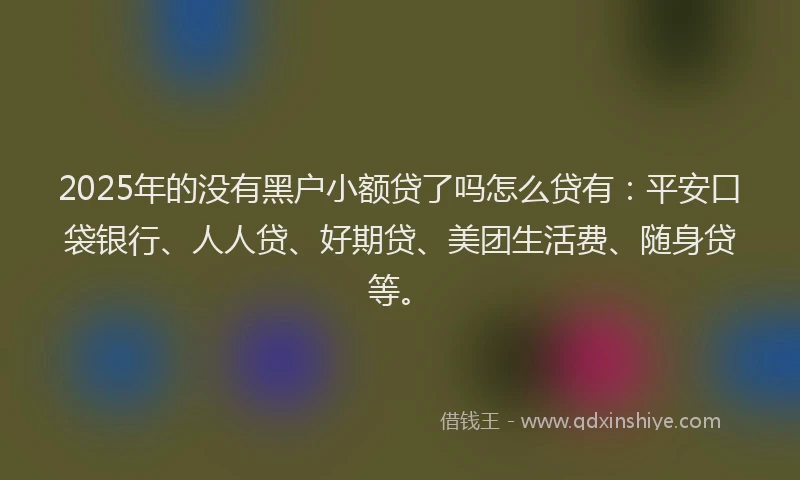 2025年的没有黑户小额贷了吗怎么贷有：平安口袋银行、人人贷、好期贷、美团生活费、随身贷等。