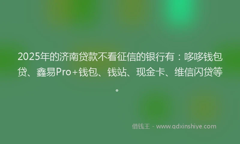 2025年的济南贷款不看征信的银行有：哆哆钱包贷、鑫易Pro+钱包、钱站、现金卡、维信闪贷等。