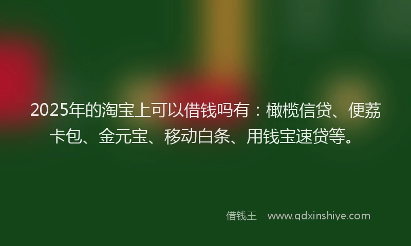 2025年的淘宝上可以借钱吗有：橄榄信贷、便荔卡包、金元宝、移动白条、用钱宝速贷等。