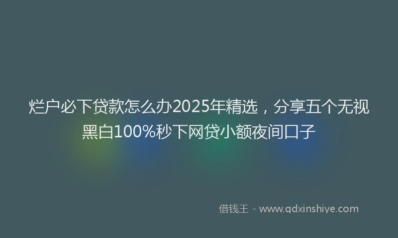 烂户必下贷款怎么办2025年精选，分享五个无视黑白100%秒下网贷小额夜间口子