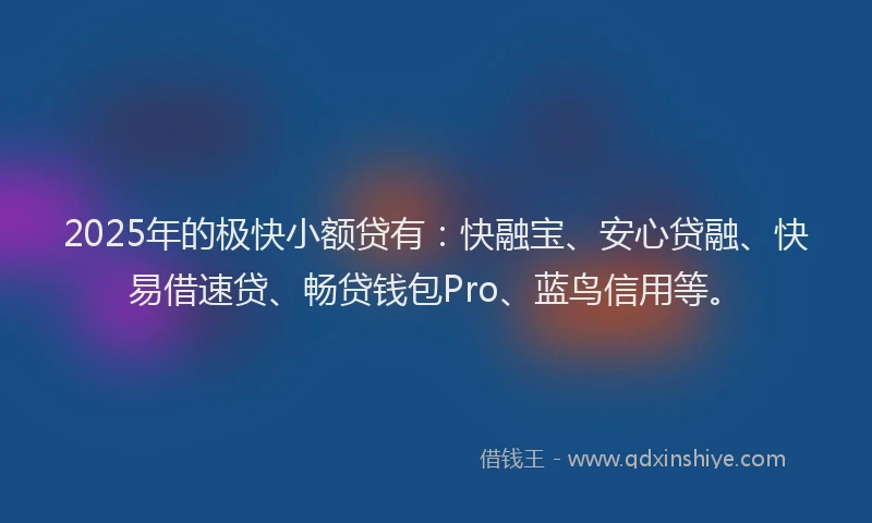 2025年的极快小额贷有：快融宝、安心贷融、快易借速贷、畅贷钱包Pro、蓝鸟信用等。