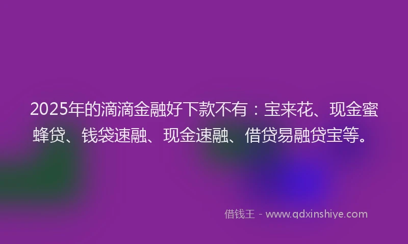 2025年的滴滴金融好下款不有：宝来花、现金蜜蜂贷、钱袋速融、现金速融、借贷易融贷宝等。