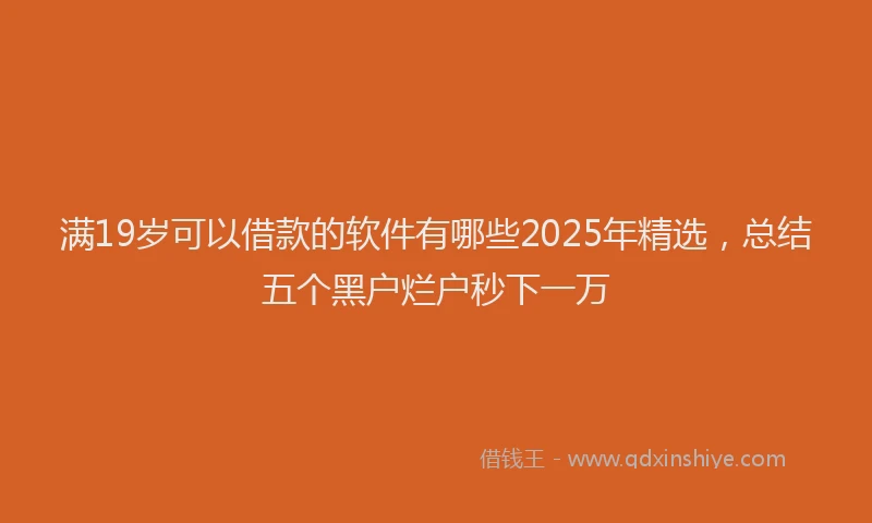 满19岁可以借款的软件有哪些2025年精选，总结五个黑户烂户秒下一万