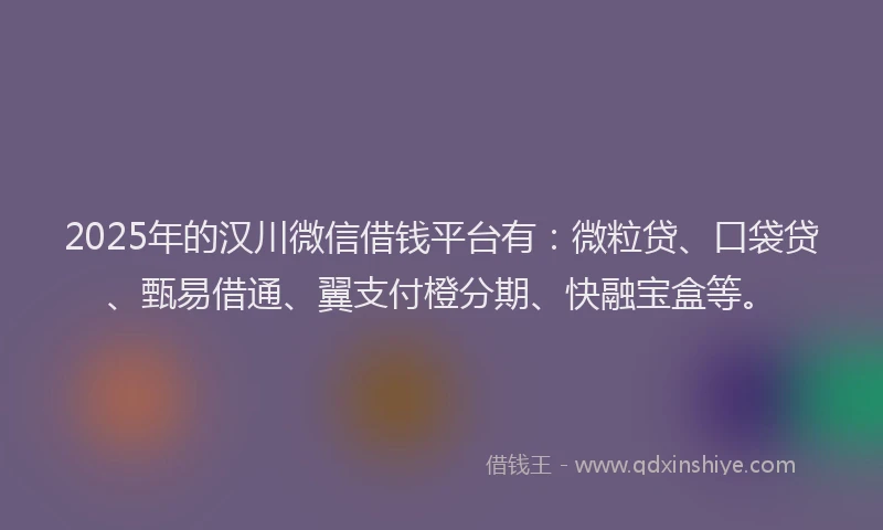 2025年的汉川微信借钱平台有：微粒贷、口袋贷、甄易借通、翼支付橙分期、快融宝盒等。