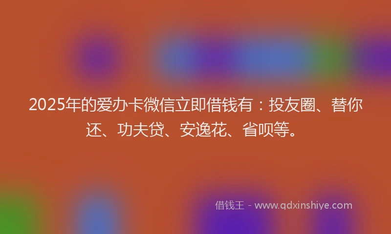 2025年的爱办卡微信立即借钱有：投友圈、替你还、功夫贷、安逸花、省呗等。